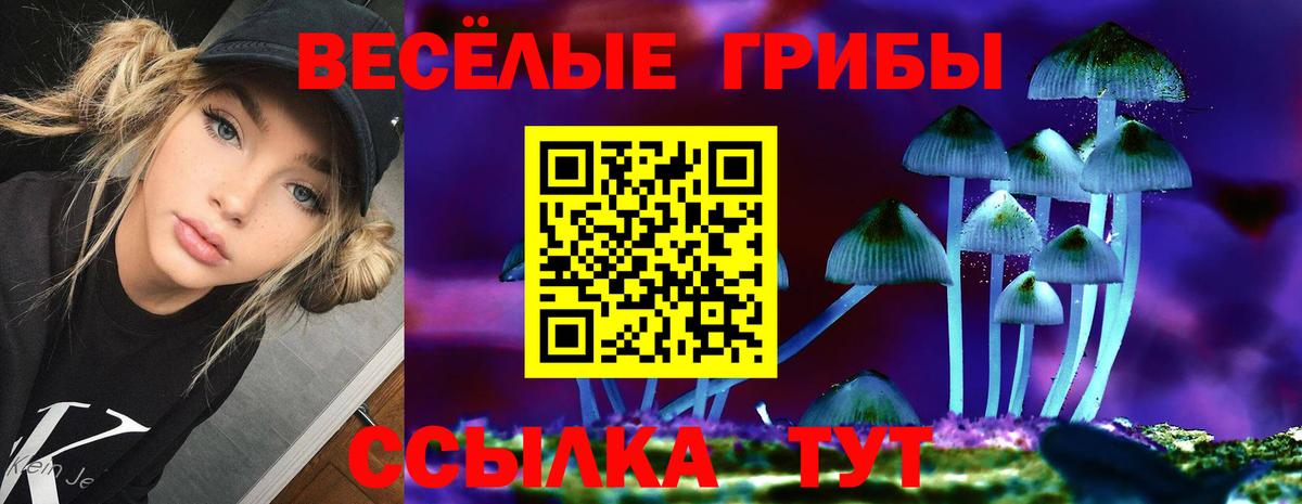 Галлюциногенные грибы мухоморы  Псилоцибиновые грибы Psilocybine cubensis  Лосино-Петровский  Вход с VPN 