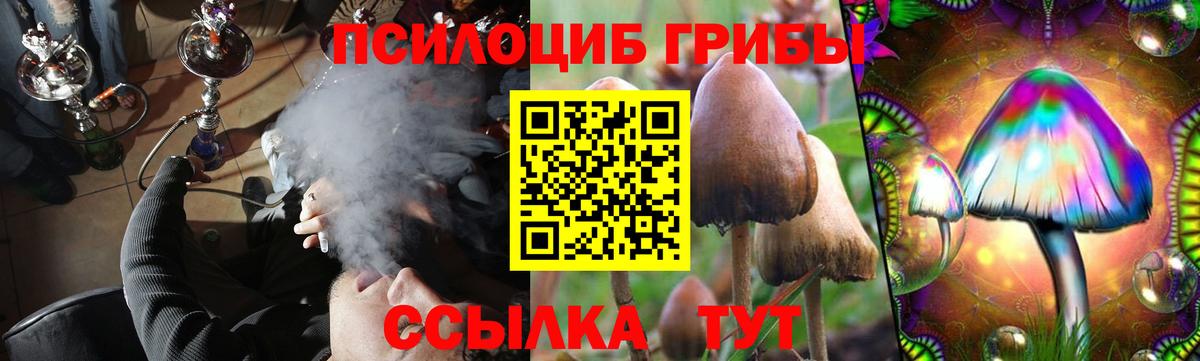Галлюциногенные грибы GOLDEN TEACHER Лосино-Петровский